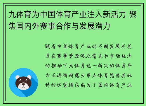 九体育为中国体育产业注入新活力 聚焦国内外赛事合作与发展潜力